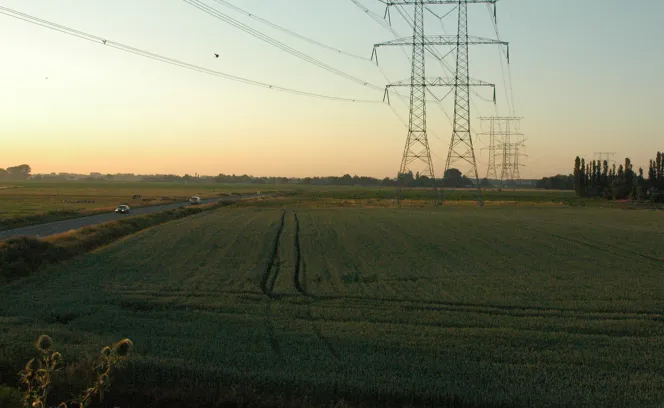 Avondlicht