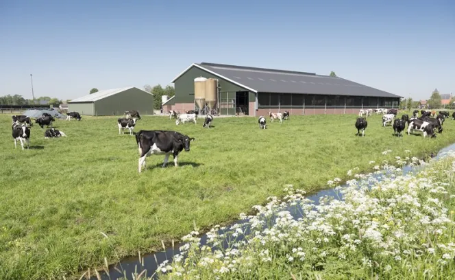 Boerderij