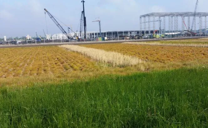 Lelystad