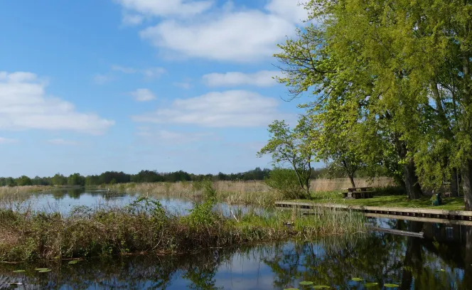 Overwater - natuur