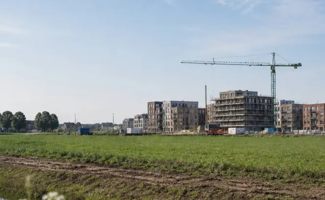 Grondbeleid